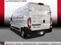 Gebraucht Toyota Proace 140 PS (102 kW) 2024 Weiß Van / Kleinbus