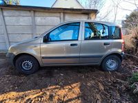 Gebraucht Fiat Panda 54 PS (39 kW) 2009 Beige Kleinwagen
