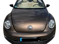 Gebraucht VW Beetle Edition 160 PS (117 kW) 2014 Braun Kleinwagen
