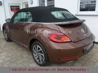Gebraucht VW Beetle Allstar 105 PS (77 kW) 2017 Dark bronze Kleinwagen