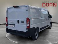 Neu Fiat Ducato 140 PS (102 kW) 2026 Van