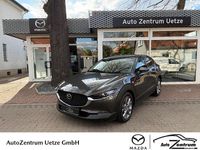 Gebraucht Mazda CX-30 140 PS (102 kW) 2024 Grau SUV