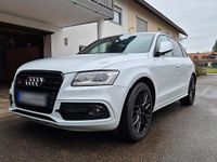 Gebraucht Audi SQ5 Sport 326 PS (239 kW) 2017 Weiß SUV
