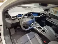 Gebraucht Opel Grandland X 145 PS (106 kW) 2024 Jade weiß SUV