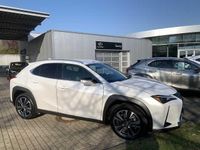 Gebraucht Lexus UX 184 PS (135 kW) 2023 SUV