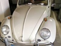 Gebraucht VW Käfer 34 PS (25 kW) 1967 Weiß Limousine