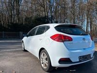 Gebraucht Kia Ceed Edition 7 135 PS (99 kW) 2015 Weiß Kleinwagen