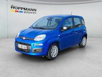 Gebraucht Fiat Panda 65 PS (47 kW) 2025 Italia blau Kleinwagen