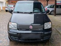 Gebraucht Fiat Panda Dynamic 69 PS (50 kW) 2012 Schwarz Kleinwagen
