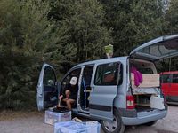 Gebraucht Citroën Berlingo 75 PS (55 kW) 2005 Van / Kleinbus