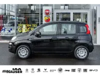 Neu Fiat Panda Icon 65 PS (47 kW) 2025 Schwarz Limousine