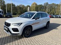Gebraucht Cupra Ateca 150 PS (110 kW) 2024 Weiß SUV