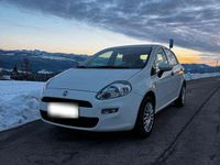 Gebraucht Fiat Punto 69 PS (50 kW) 2016 Weiß Kleinwagen