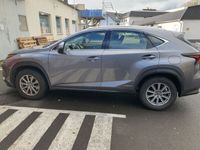 gebraucht Lexus NX300 300h Business Line Business Line