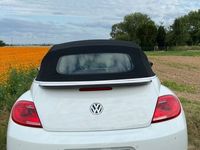 gebraucht VW Beetle Cup Cabrio 1.2 TSI, Garagenfahrzeug