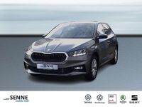 Neu Skoda Fabia Selection 116 PS (85 kW) 2025 Graphite grau Kleinwagen