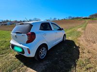 Gebraucht Kia Picanto Attract 67 PS (49 kW) 2018 Weiß Kleinwagen
