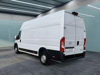 Gebraucht Opel Movano 165 PS (121 kW) 2023 Weiß Van