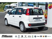 Gebraucht Fiat Panda 69 PS (50 kW) 2025 Weiß Limousine