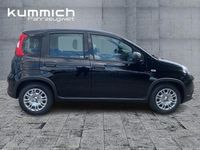 Gebraucht Fiat Panda 69 PS (50 kW) 2024 Schwarz Kleinwagen