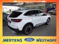 Gebraucht Ford Kuga Active 179 PS (131 kW) 2024 Weiß SUV