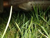 Gebraucht Ford Fiesta 70 PS (51 kW) 2005 Schwarz Kleinwagen