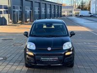 Neu Fiat Panda 69 PS (50 kW) 2025 Schwarz Limousine