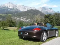 Gebraucht Porsche Boxster 256 PS (188 kW) 2009 Braun Cabrio
