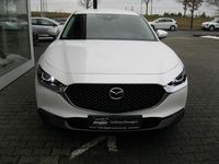 Gebraucht Mazda CX-30 Selection 150 PS (110 kW) 2020 Weiß SUV