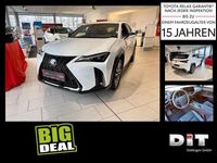 Gebraucht Lexus UX 300h Sport Design Packet 199 PS (146 kW) 2024 Fuji weiß SUV