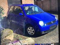 Gebraucht VW Lupo 75 PS (55 kW) 1999 Blau Kleinwagen