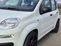 Gebraucht Fiat Panda Easy 69 PS (50 kW) 2014 Weiß Kleinwagen