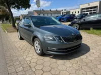 Gebraucht Skoda Octavia Style 116 PS (85 kW) 2019 Grau Limousine