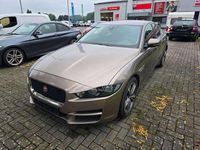 Gebraucht Jaguar XF Pure 163 PS (119 kW) 2018 Braun Limousine