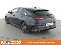 Gebraucht Kia ProCeed GT 204 PS (150 kW) 2023 Dark penta Kombi