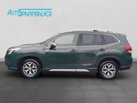Gebraucht Subaru Forester Active 150 PS (110 kW) 2023 Grün SUV