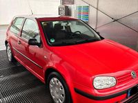 Gebraucht VW Golf VIII 75 PS (55 kW) 2021 Rot Kleinwagen