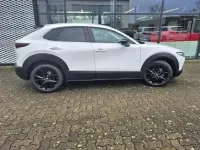 Neu Mazda CX-30 Homura-Line 140 PS (102 kW) 2026 Weiß SUV