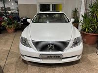 Gebraucht Lexus LS460 381 PS (280 kW) 2008 Weiß Limousine