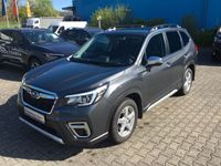 gebraucht Subaru Forester 