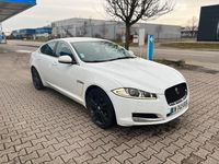 Gebraucht Jaguar XF 190 PS (139 kW) 2012 Weiß Limousine