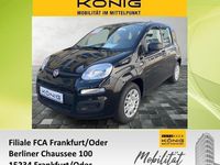 Neu Fiat Panda 69 PS (50 kW) 2025 Schwarz Kleinwagen