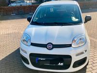 Gebraucht Fiat Panda 70 PS (51 kW) 2016 Weiß Kleinwagen