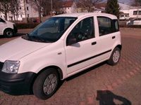 gebraucht Fiat Panda gebraucht