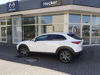Gebraucht Mazda CX-30 Selection 186 PS (136 kW) 2023 Snowflake white 25d SUV