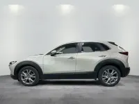 Gebraucht Mazda CX-30 Selection 122 PS (89 kW) 2023 Platinum quartz SUV