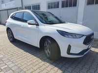 Neu Ford Kuga ST-Line 179 PS (131 kW) 2025 Weiß SUV