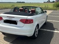 Gebraucht Audi A3 Cabriolet 160 PS (117 kW) 2009 Weiß Cabrio
