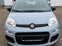 Gebraucht Fiat Panda 69 PS (50 kW) 2022 Grau Limousine