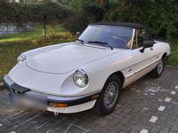 gebraucht Alfa Romeo Spider 